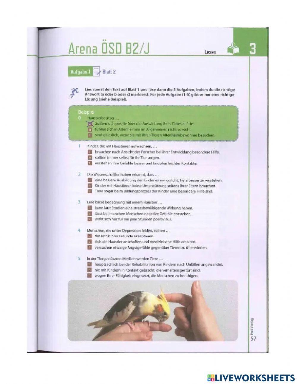 Lesen-Test-3 Lesen-Test-3