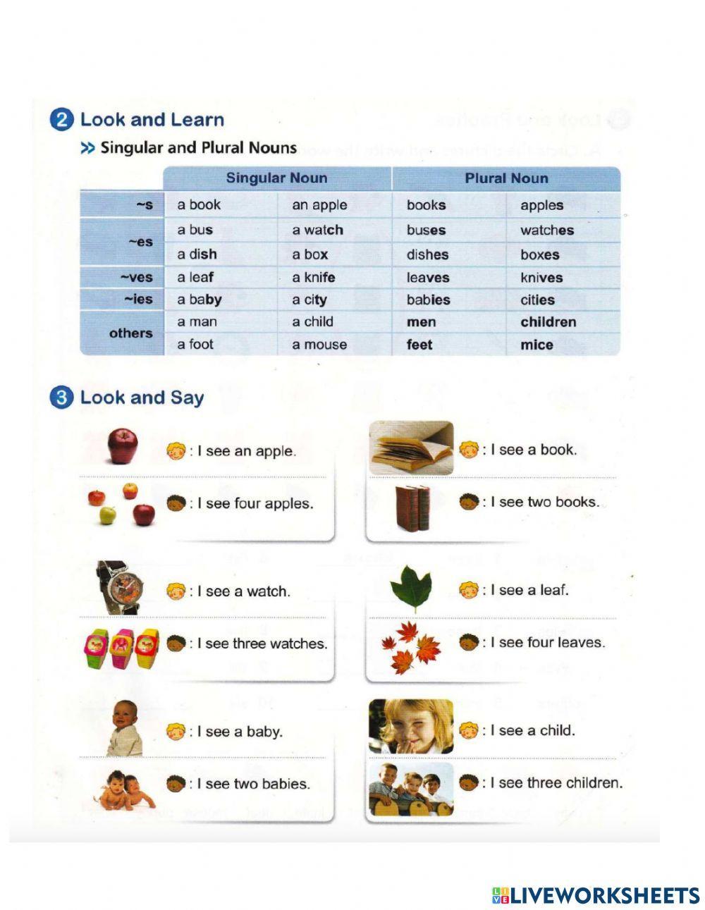 Homework level 2 unit 2 (lesson 1)