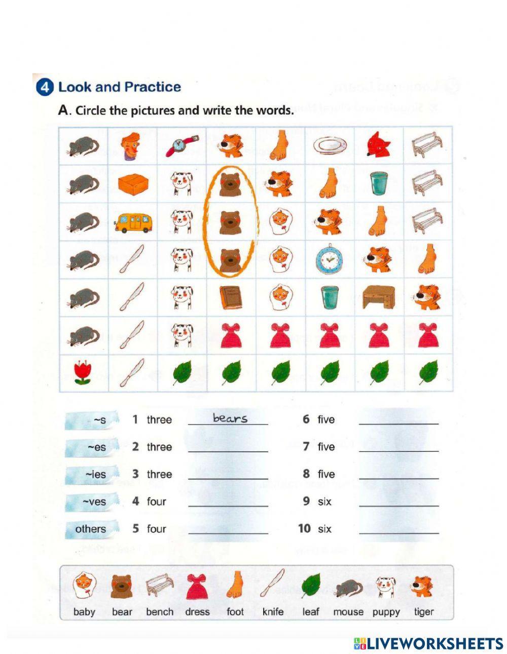 Homework level 2 unit 2 (lesson 1)