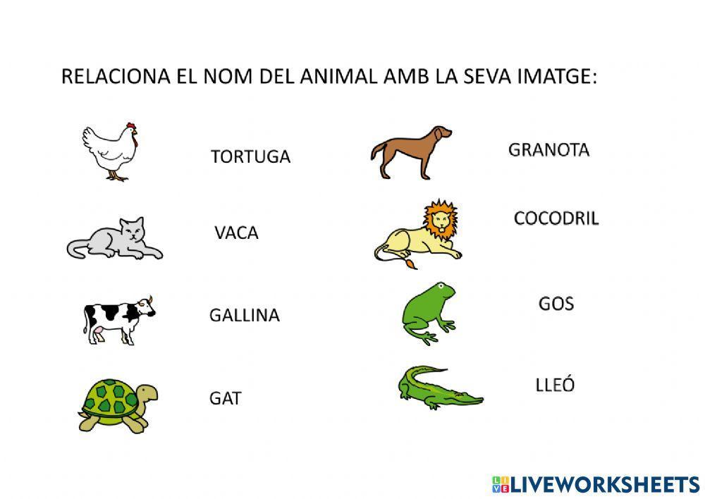 Relacionar animals