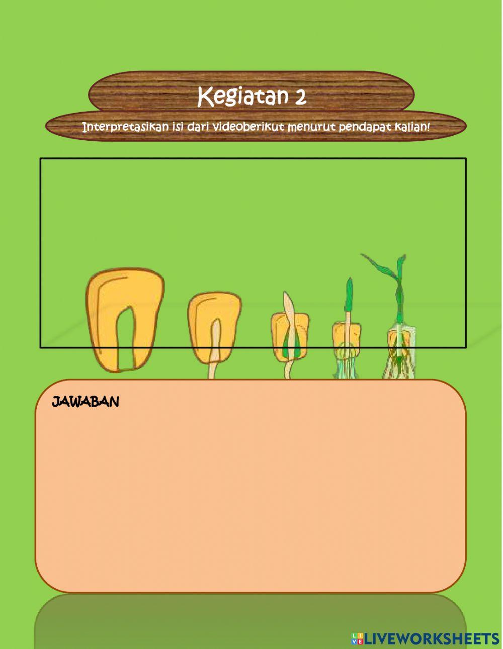 Pertumbuhan dan perkembangan