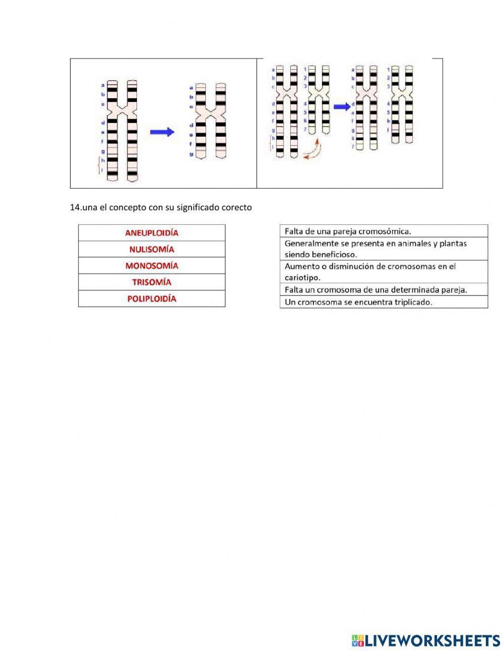 mutaciones génicas 1