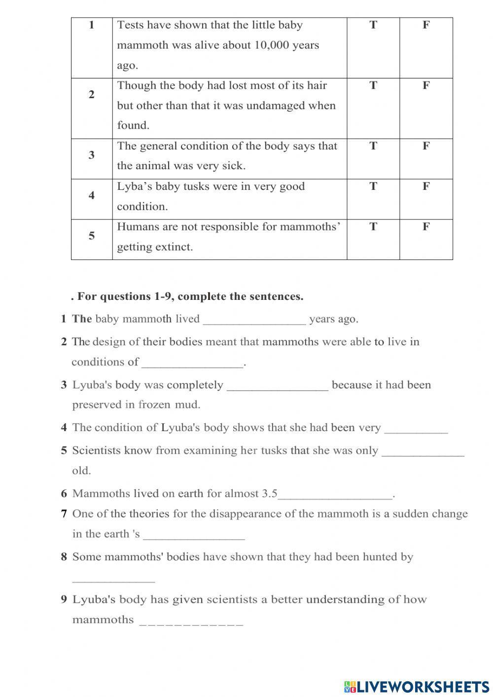 The Best Preserved Frozen Mammoth
