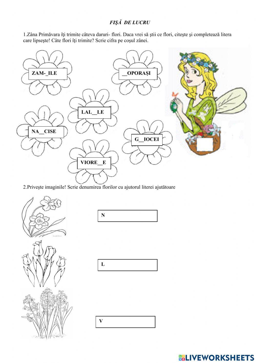Matematica și florile primăverii
