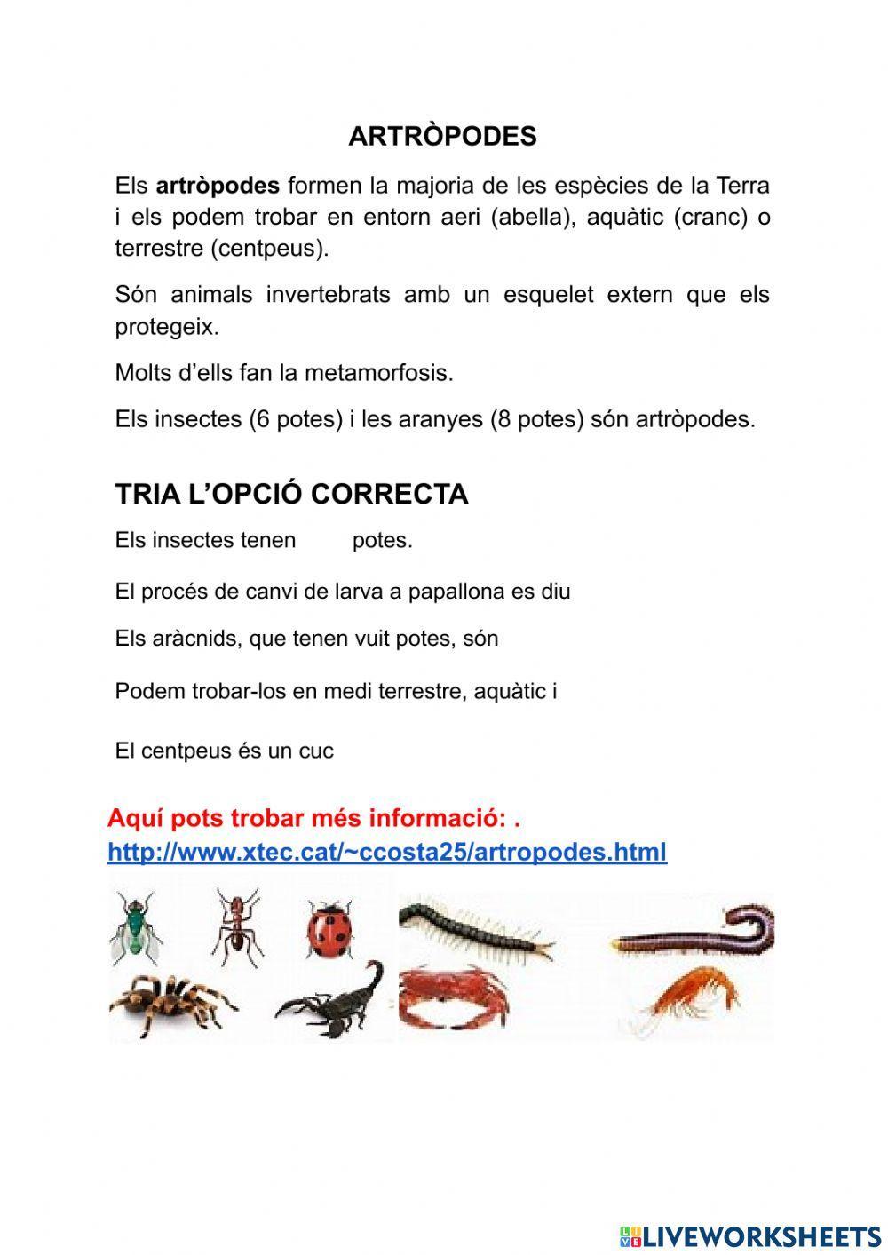 Ivertebrats: els Artròpodes