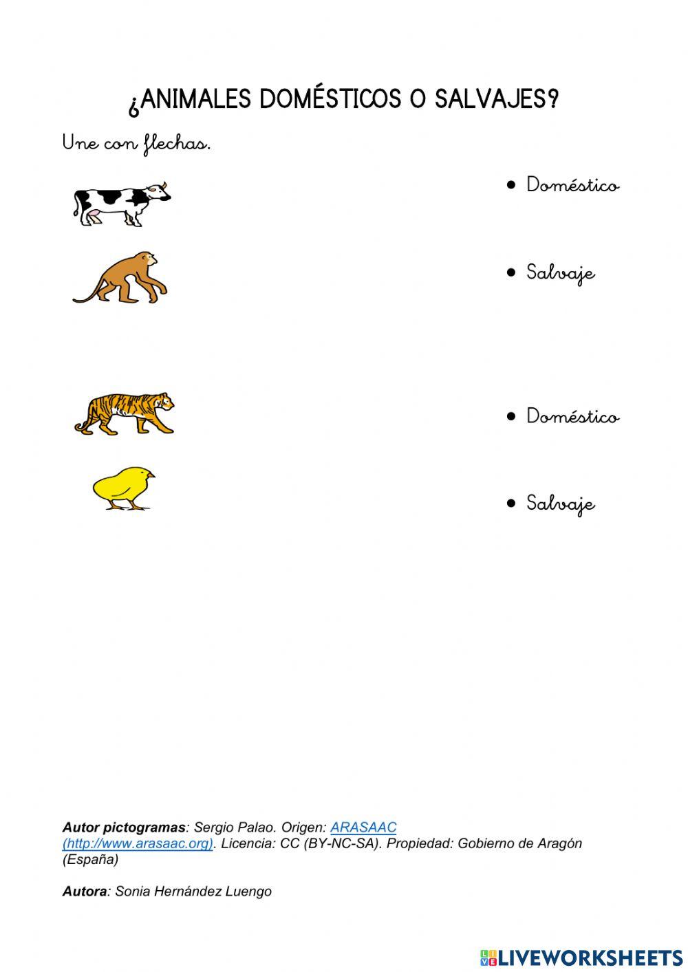 ANIMALES-¿DOMÉSTICOS O SALVAJES?