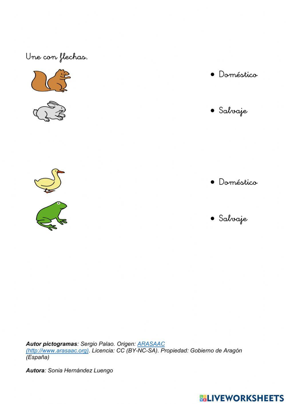 ANIMALES-¿DOMÉSTICOS O SALVAJES?