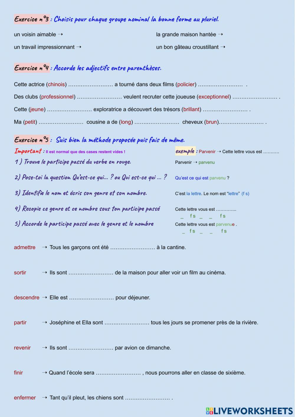 L accord Dans Le Groupe Nominal Cm2 Exercices Pdf Révisions - l'accord des adjectifs worksheet | Live Worksheets