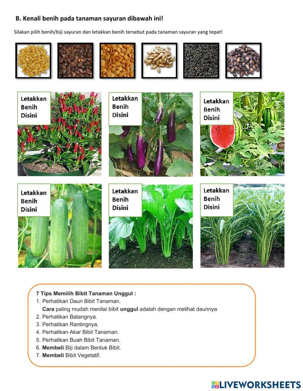 Uji Kompetensi Pertanian