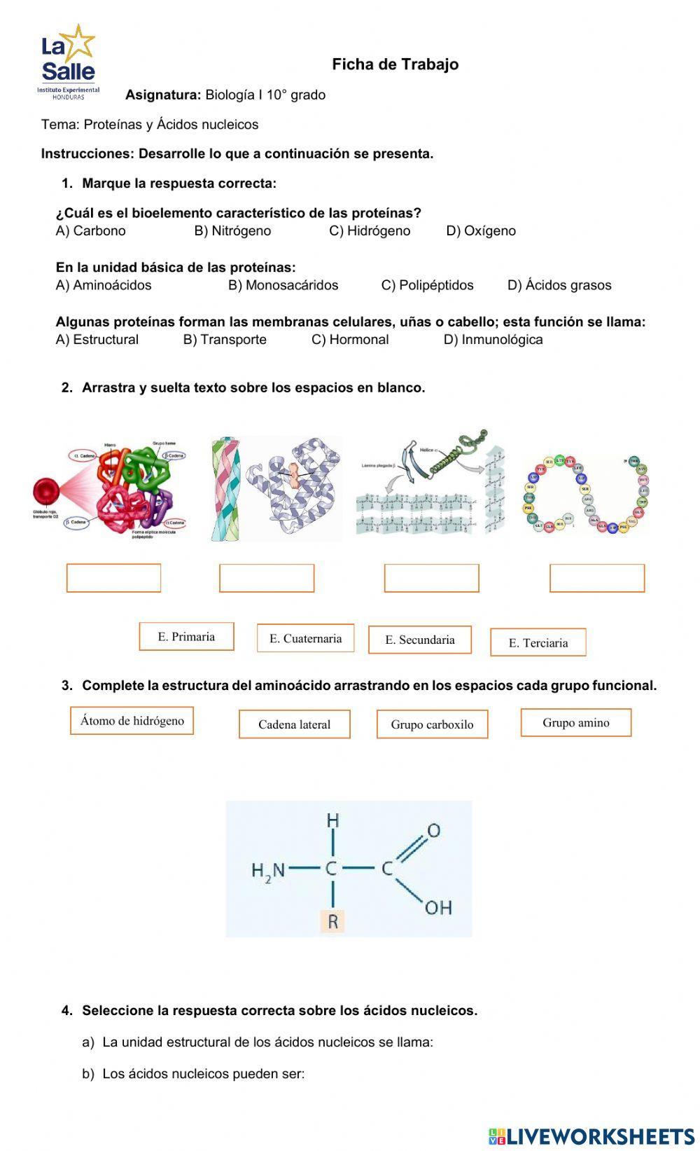 Repaso Proteínas y ácido nucleicos Repaso Proteínas y ácido nucleicos