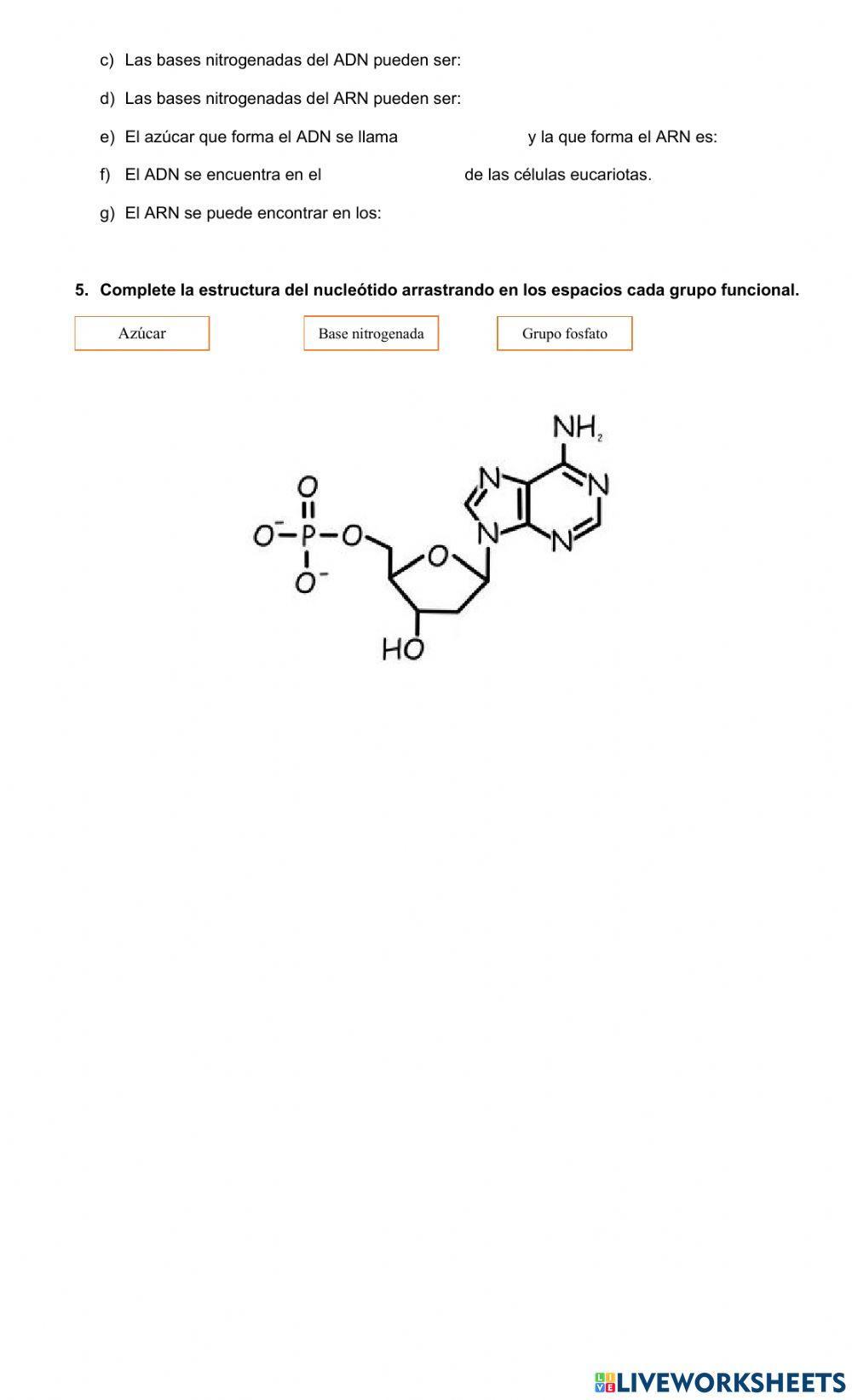 Repaso Proteínas y ácido nucleicos