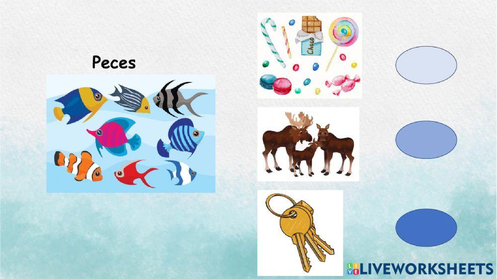 Busca la palabra intrusa.