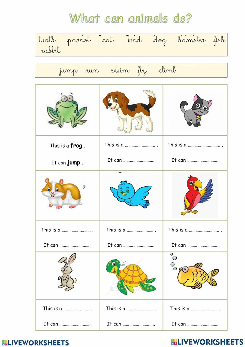 Can animals do this ?