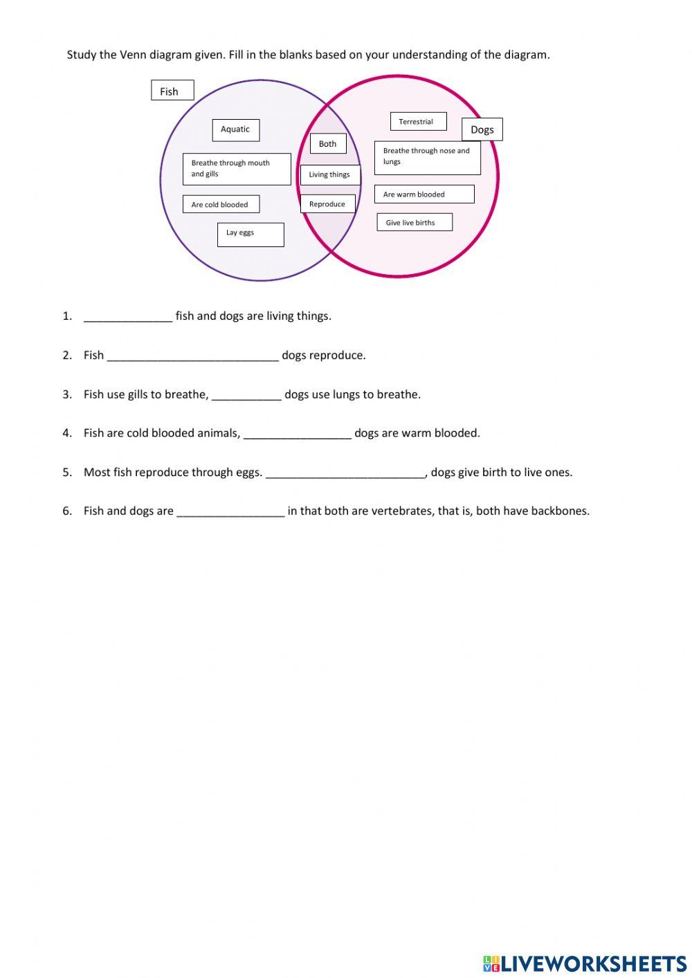 Compare and contrast activity for 3 6 live worksheets