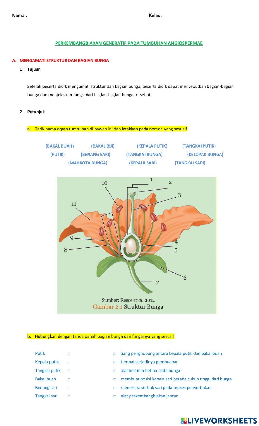 PERKEMBANGBIAKAN GENERATIF PADA TUMBUHAN ANGIOSPERMAE (Mengamati Struktur dan Bagian Bunga)