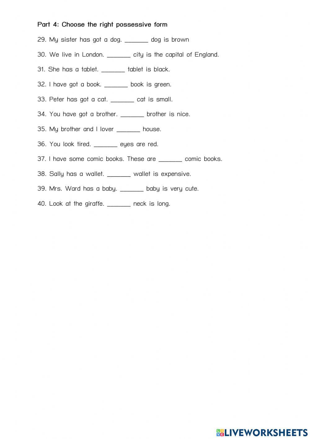 Possessive adjective