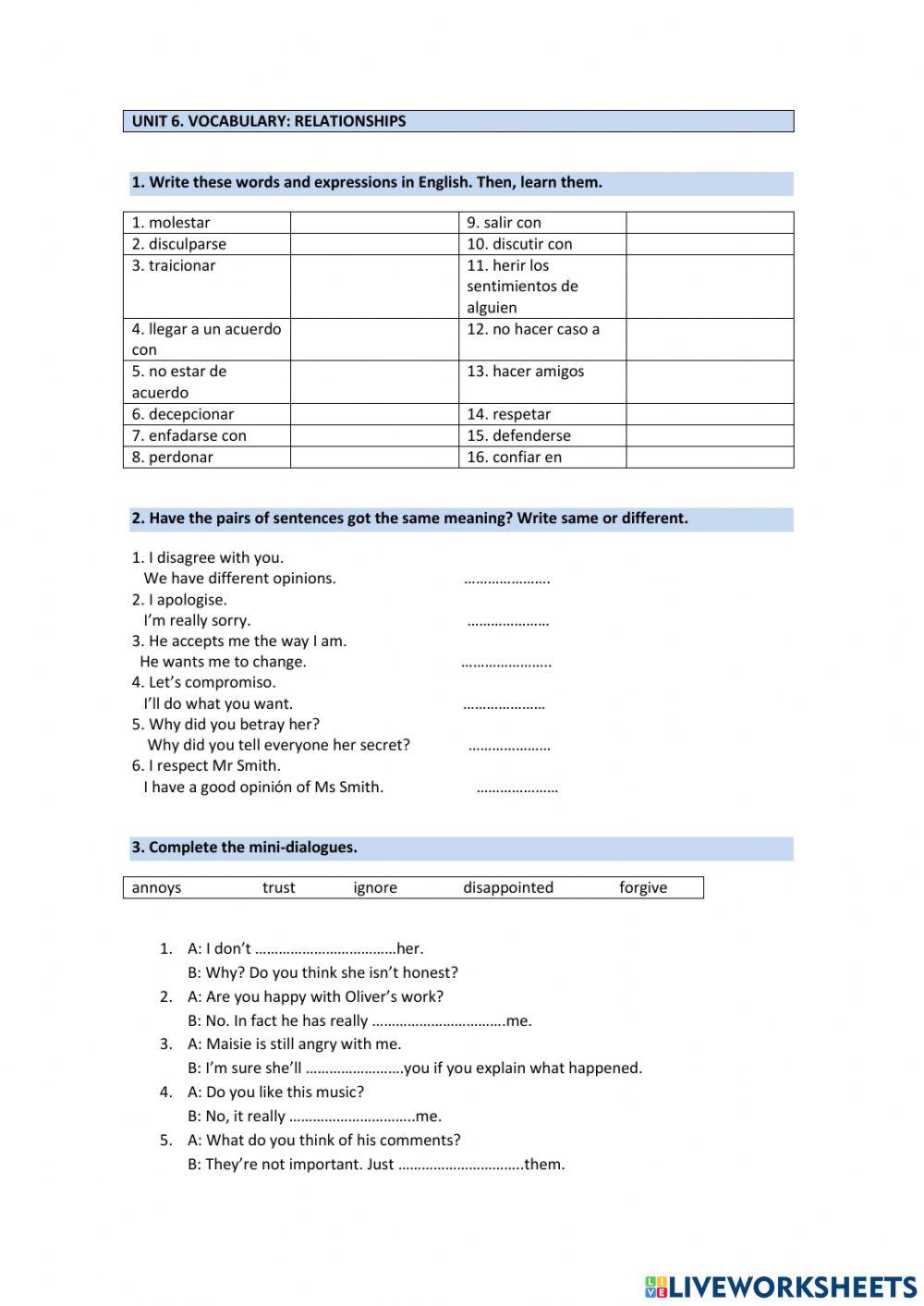 Vocabulary Relationships