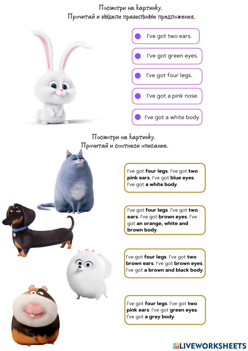 Parts of the Body-Have Got