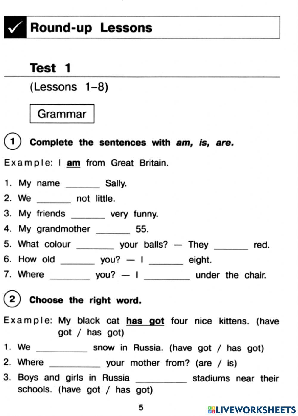 Test language elementary 1