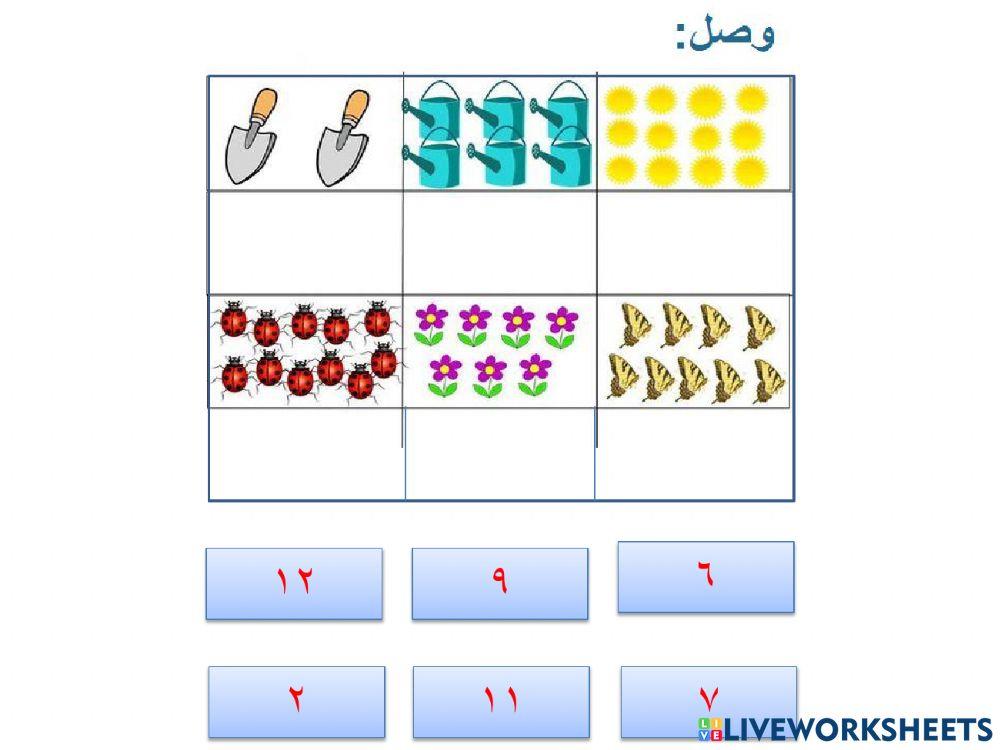 اجزاء النبات