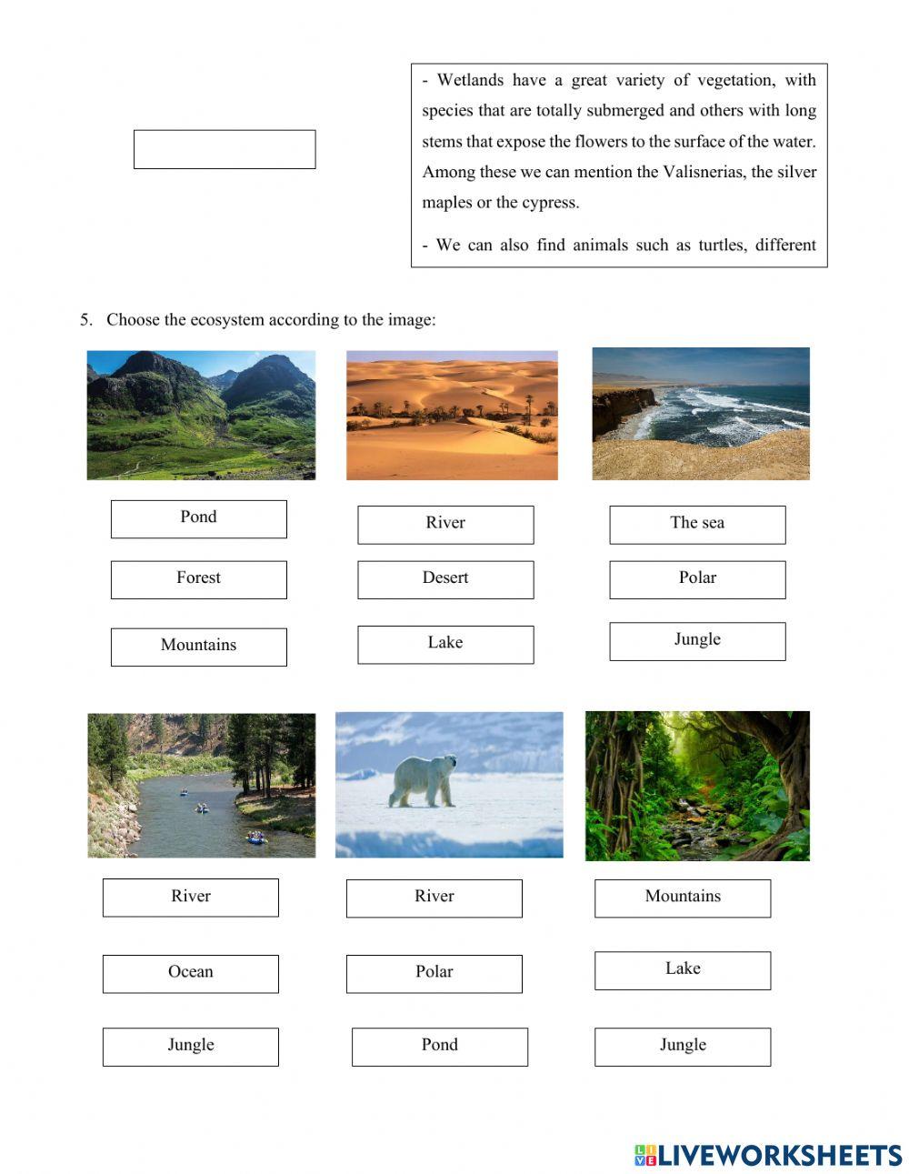 Quiz Ecosystems