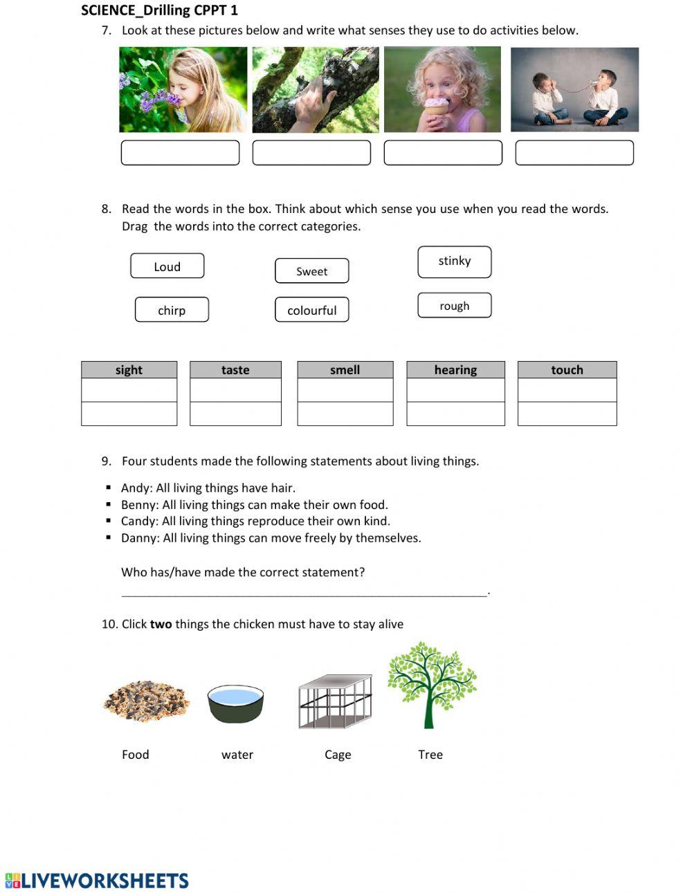 Drilling CPPT science 1 newest