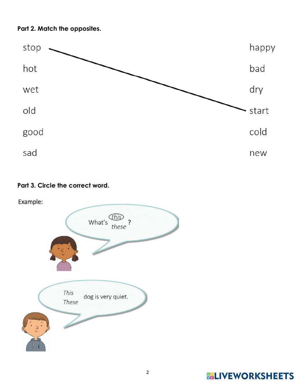 CGE1-Unit 8-Extra Worksheet