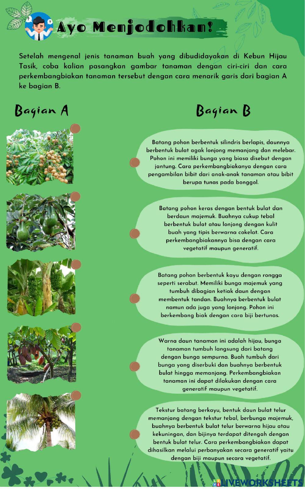 E-LKPD Budi Daya Tanaman Kelas IV Pembelajaran 2