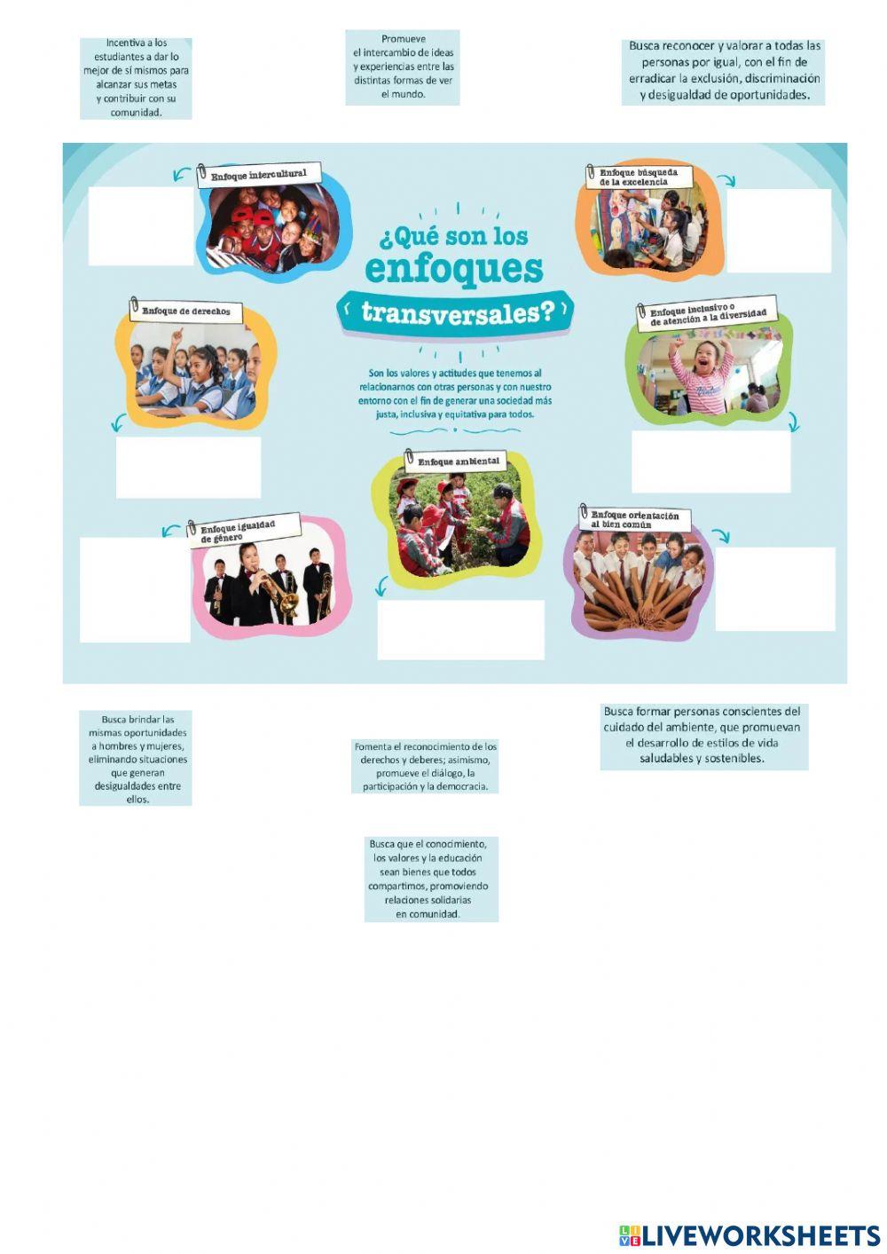 Enfoques transversales