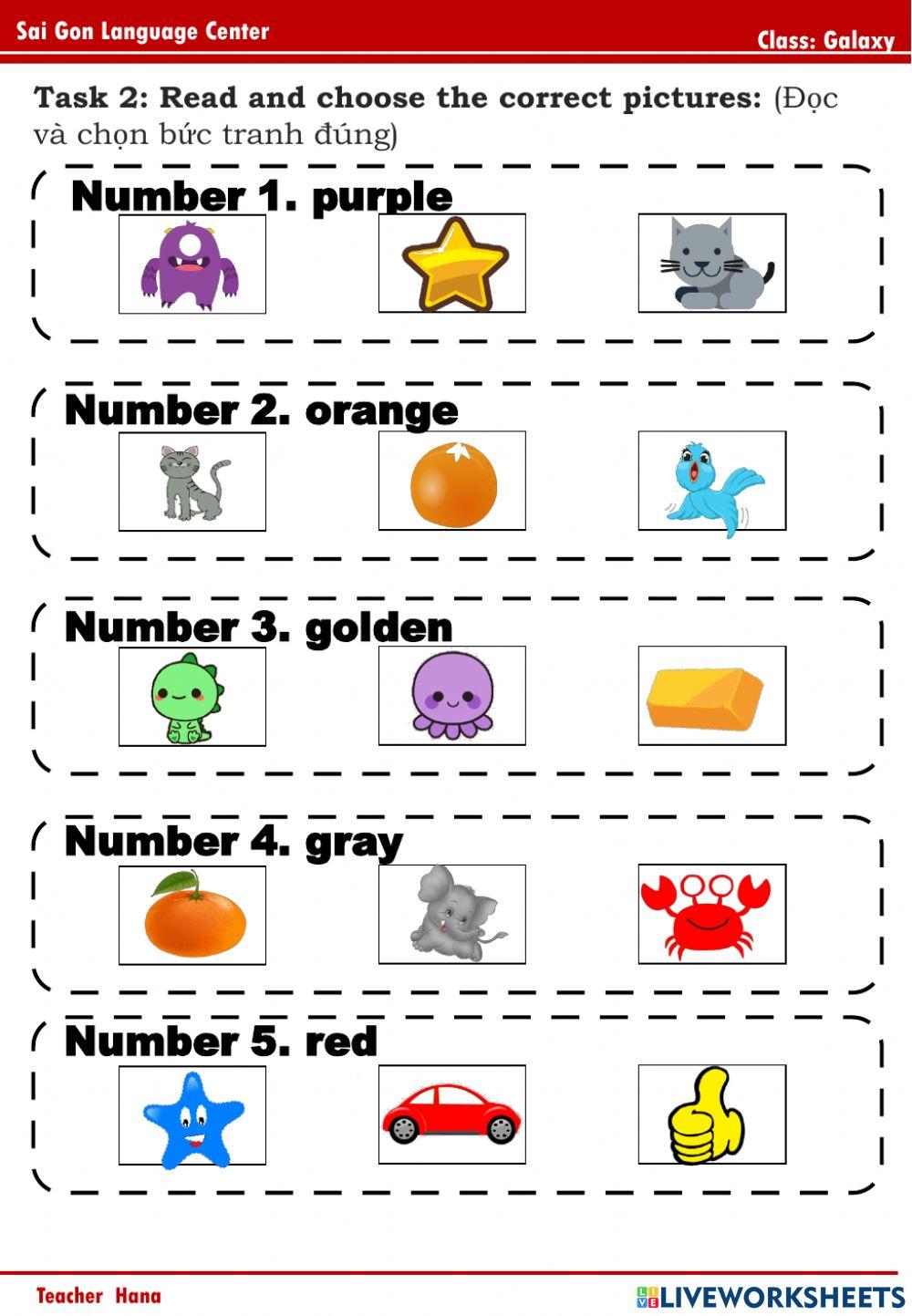 PPD a4 (Golden, grey, orange, purple)