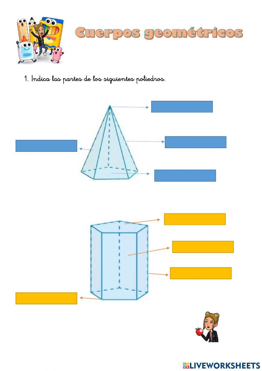 Poliedros y sus partes