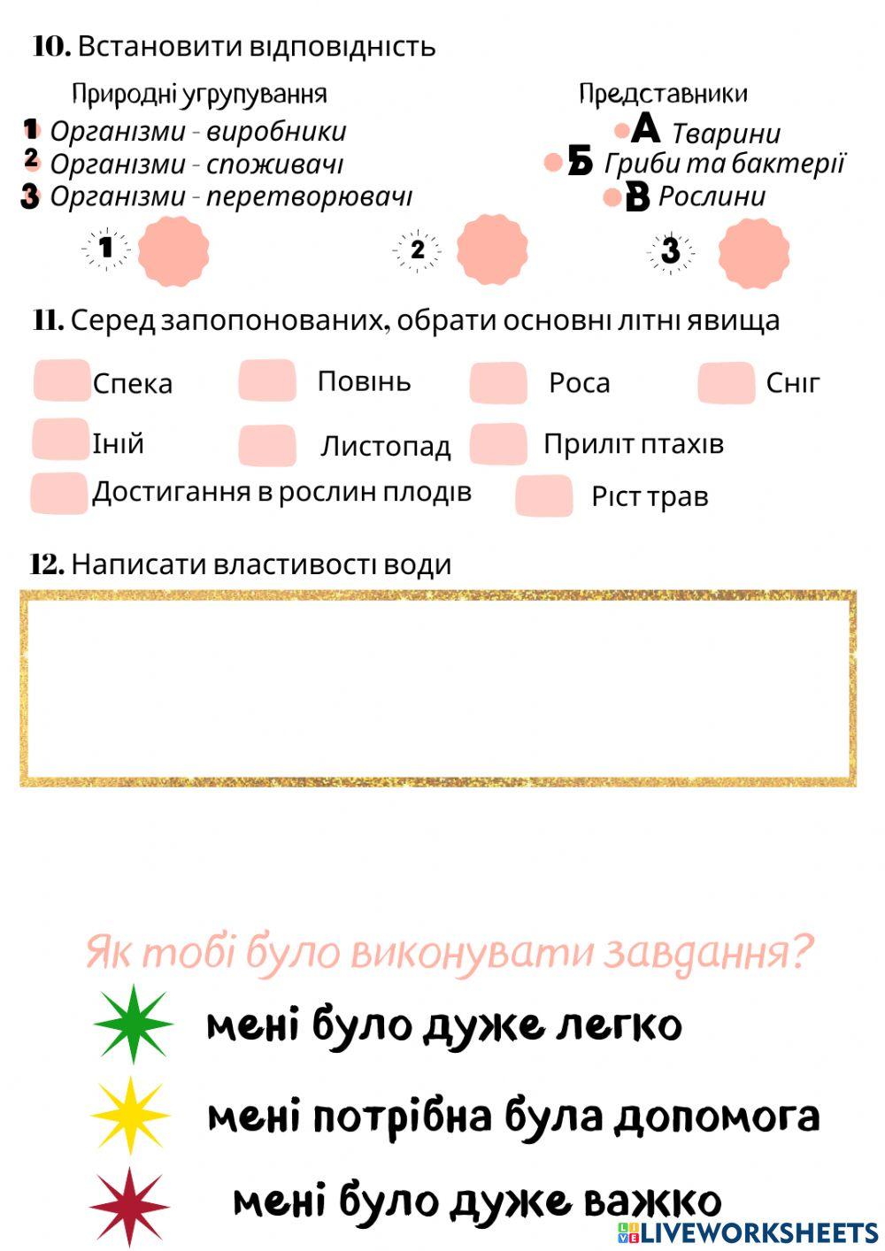Підсумкова діагностична робота