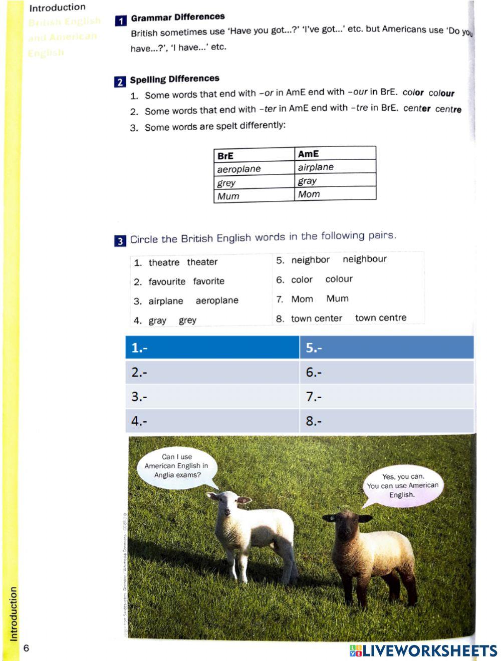 Step to primary page 06