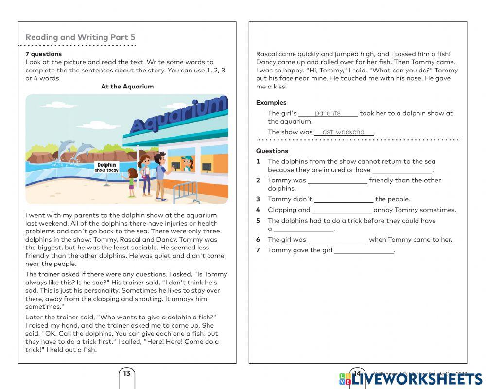 A2 Flyers Mock Test 1