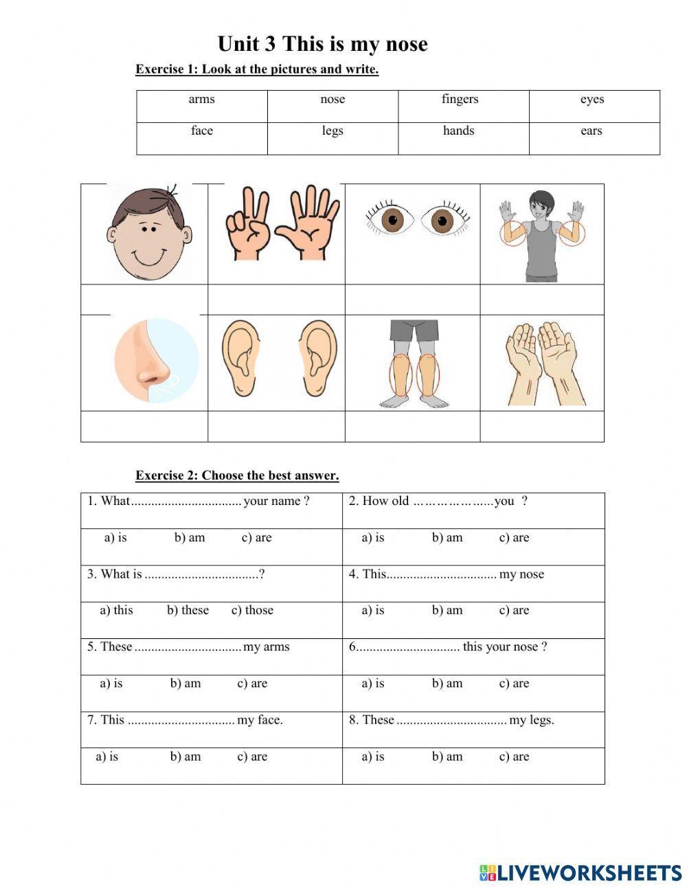 Unit 3: This is my nose