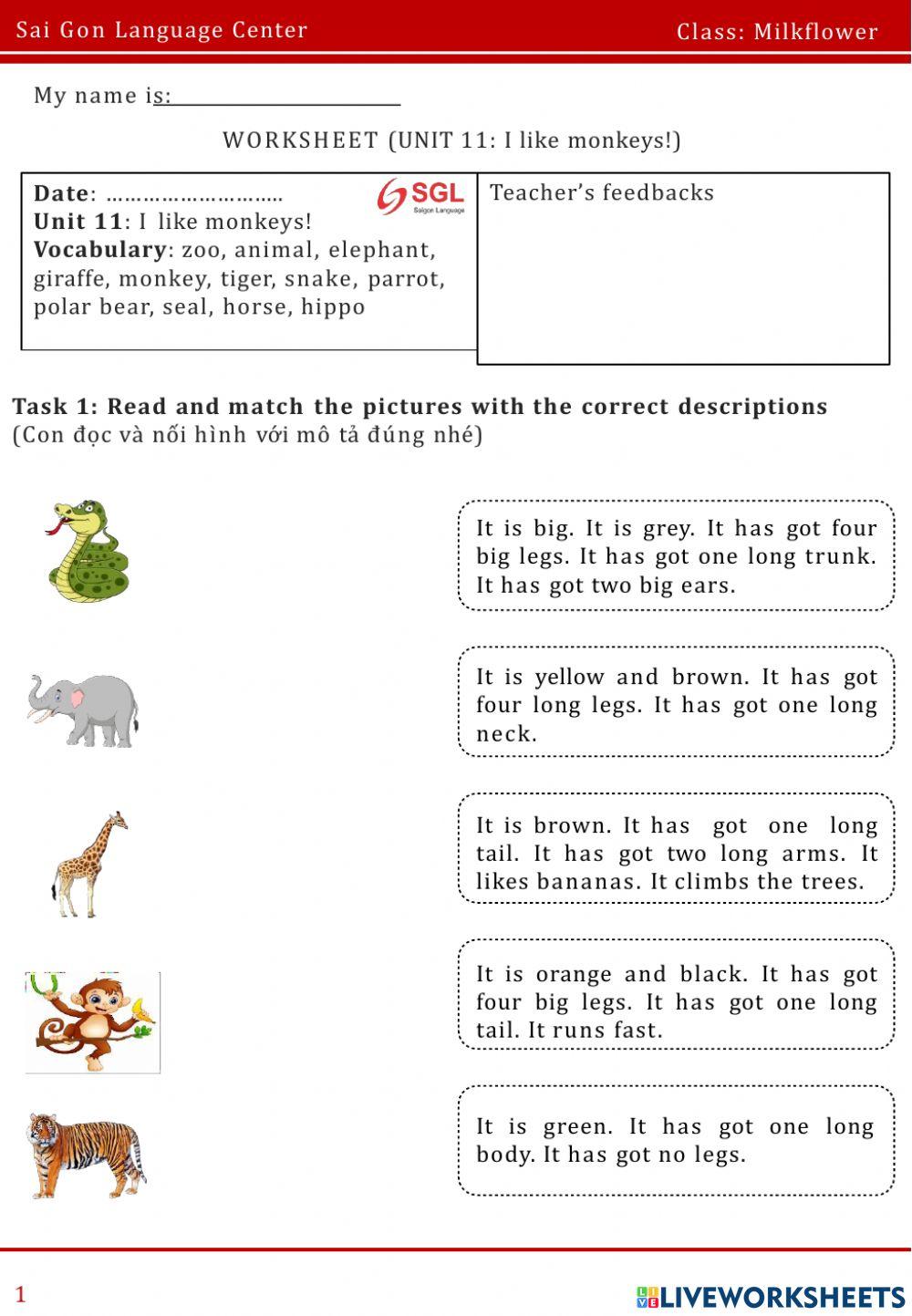 FFs1. Unit 11: I like monkey!