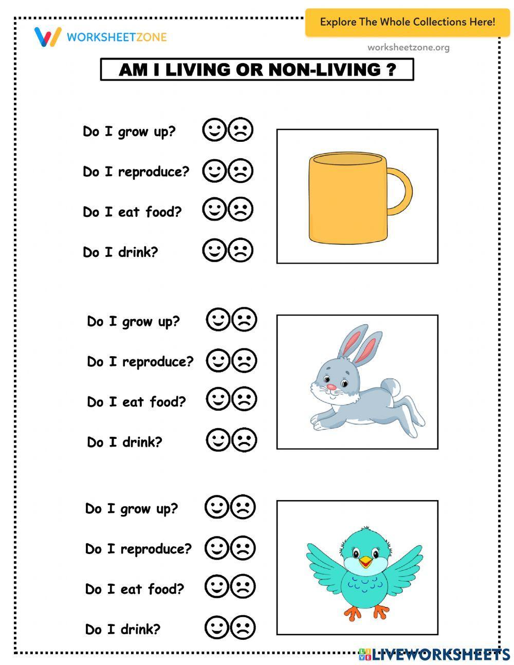 Am I a living things?