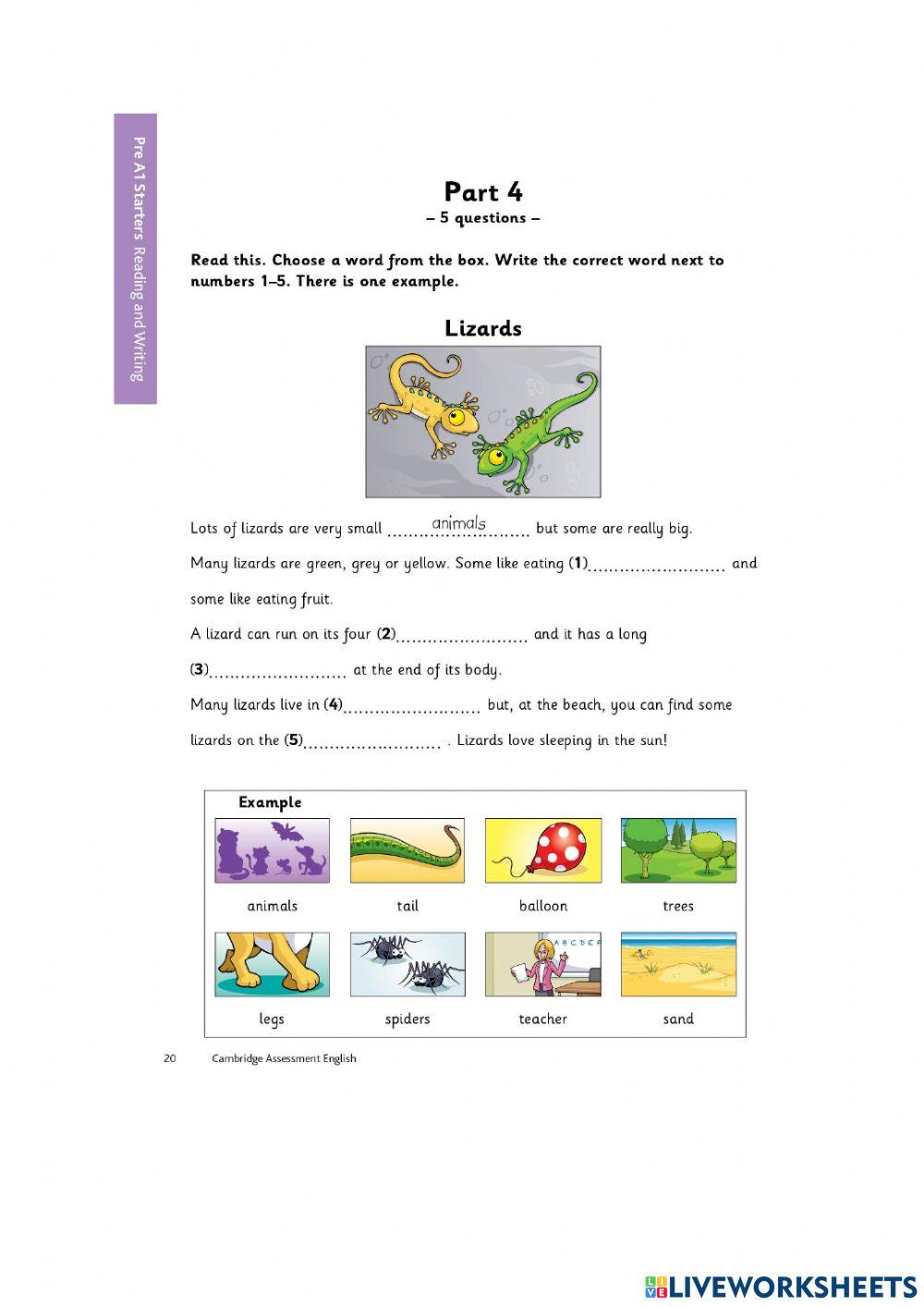 reading and writing - mock test online exercise for | Live Worksheets