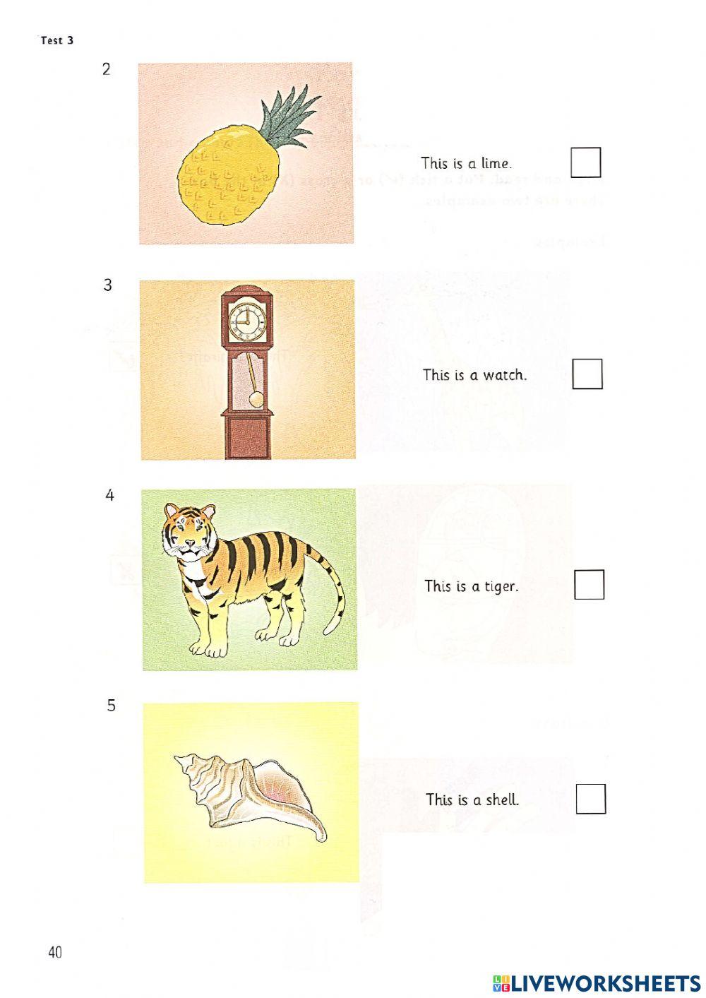 Starters - Test 3 - Book 6 - Reading and Writing