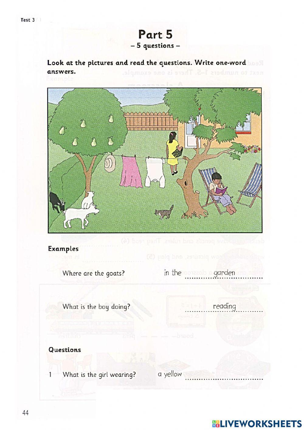 Starters - Test 3 - Book 6 - Reading and Writing