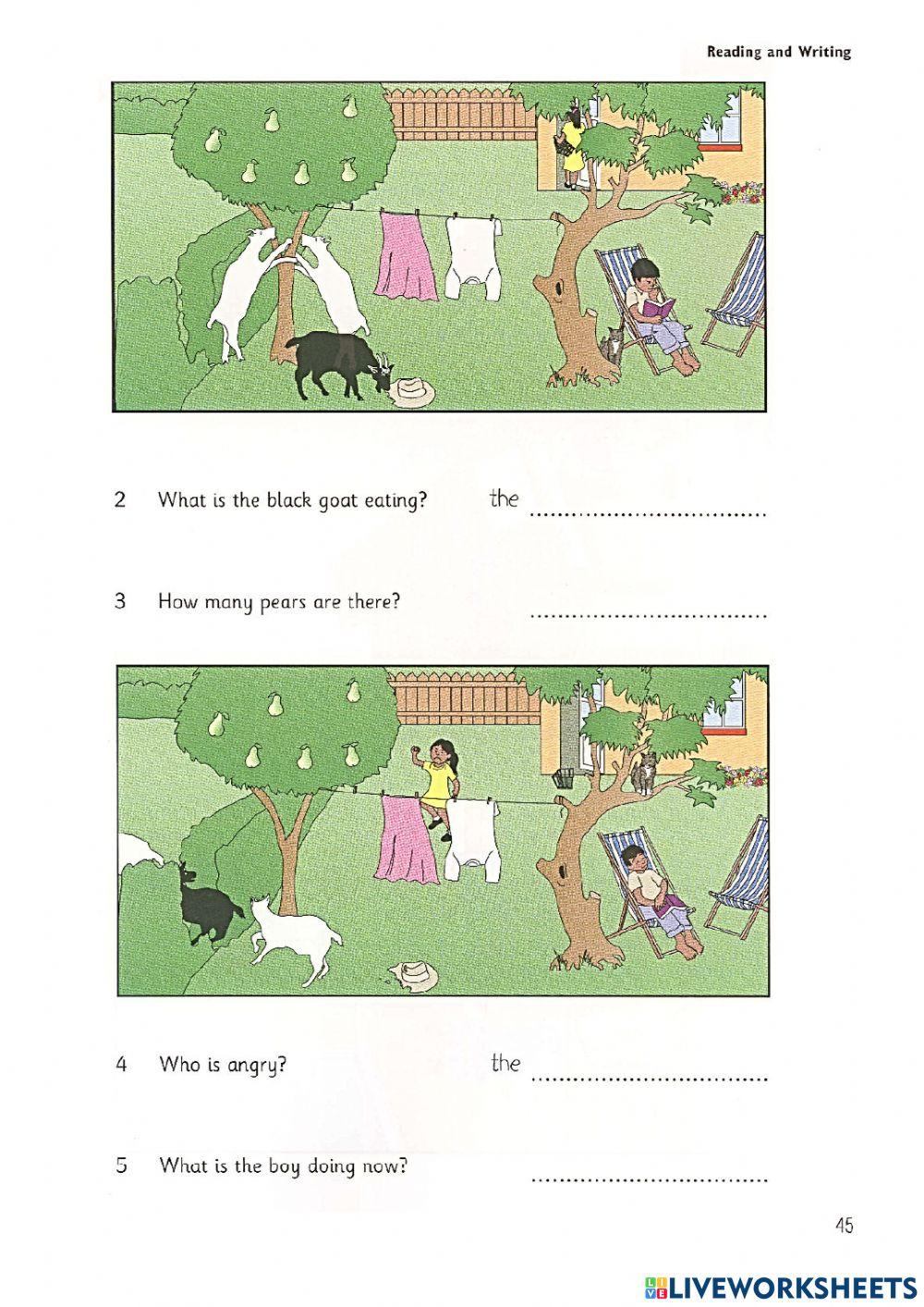 Starters - Test 3 - Book 6 - Reading and Writing