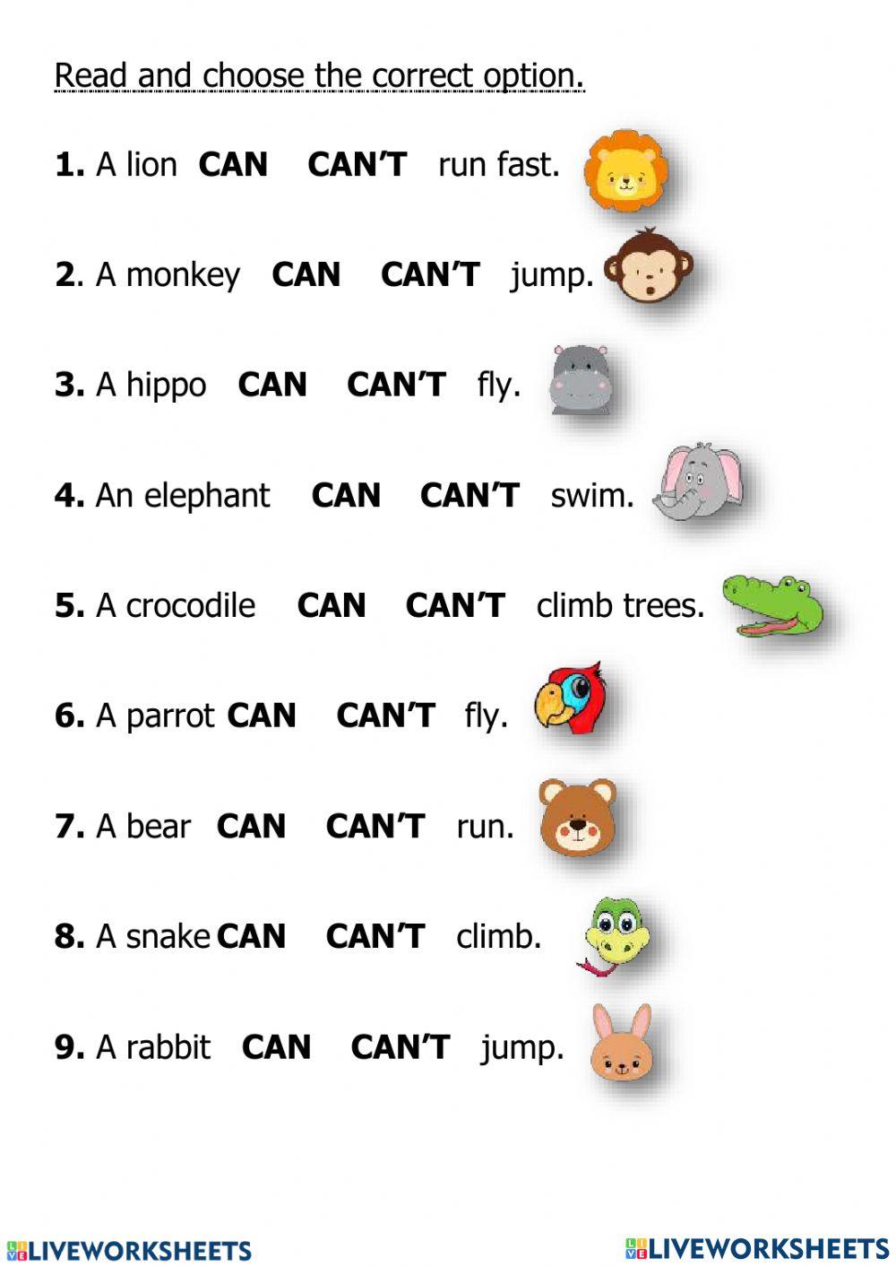 Can & Can't