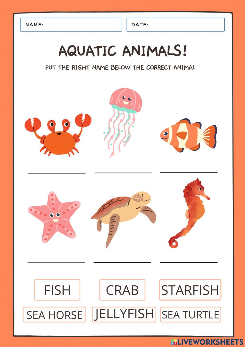 Aquatic Animals online activity | Live Worksheets