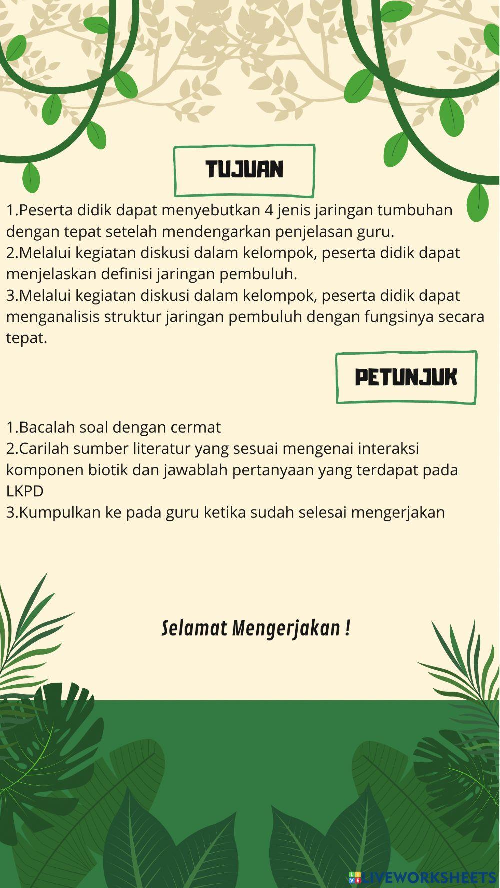 Jaringan pada Tumbuhan