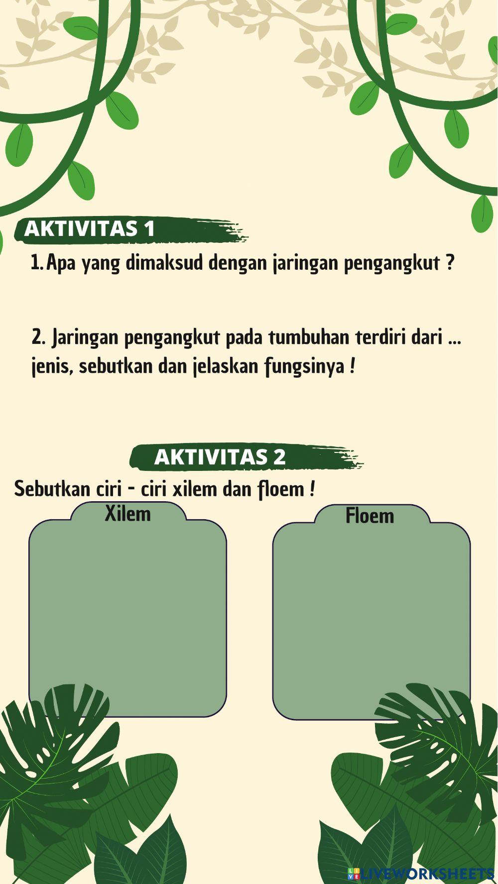 Jaringan pada Tumbuhan