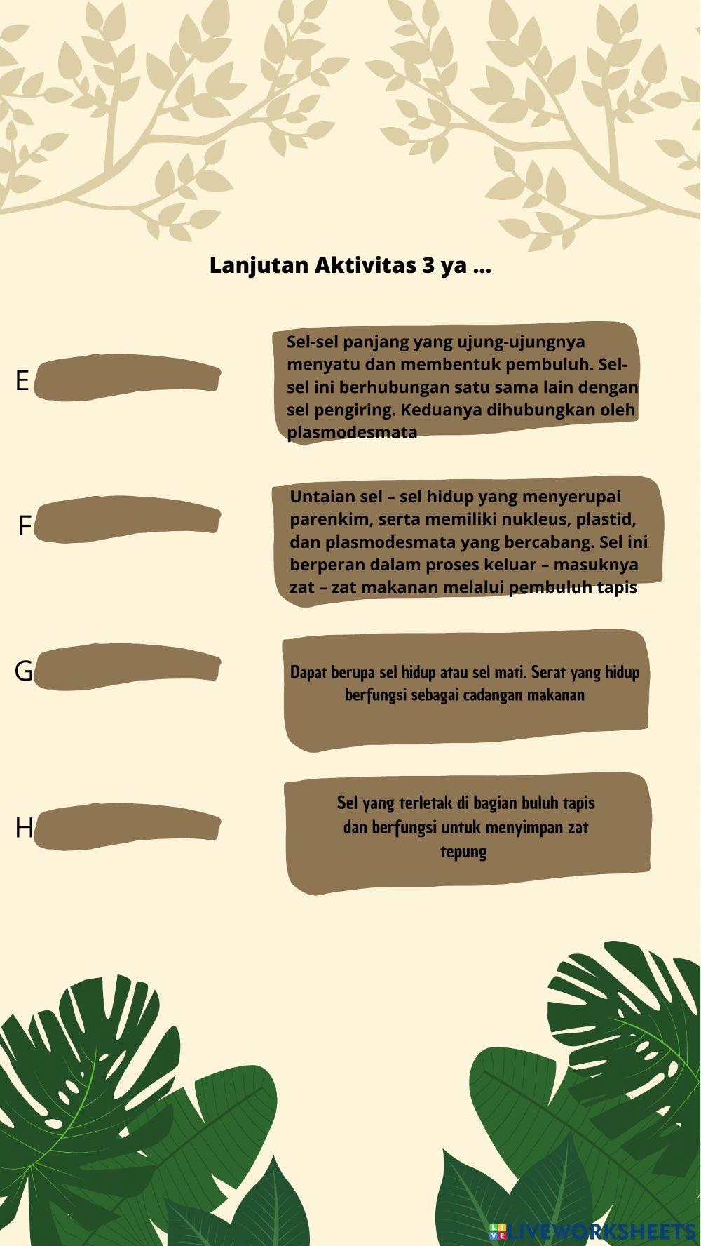 Jaringan pada Tumbuhan