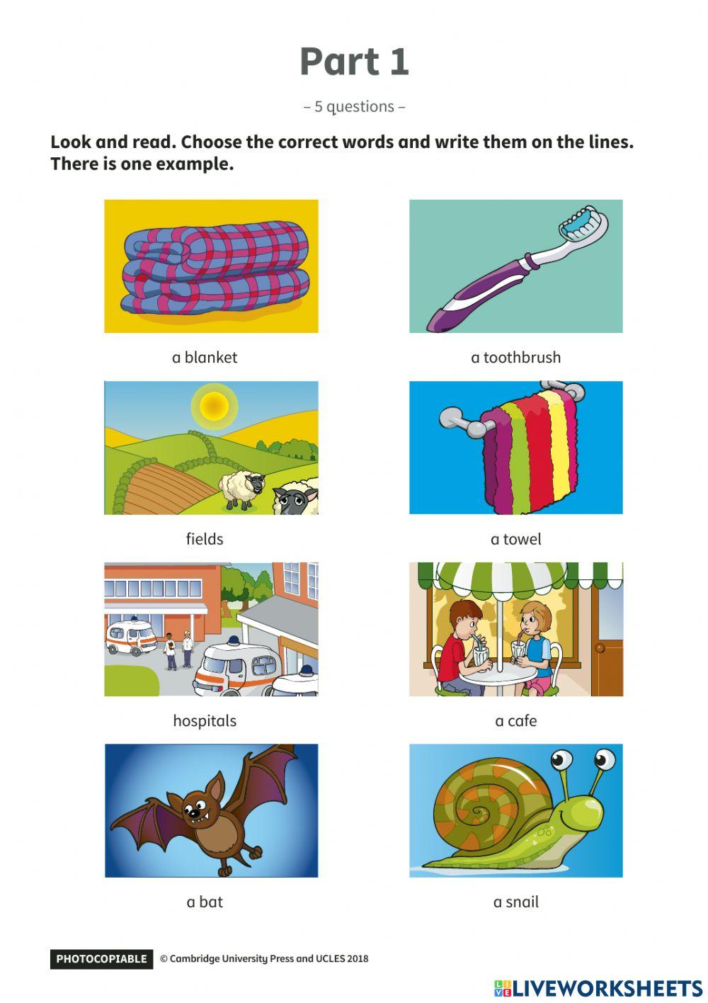 PU 3 Last test - R-W 1