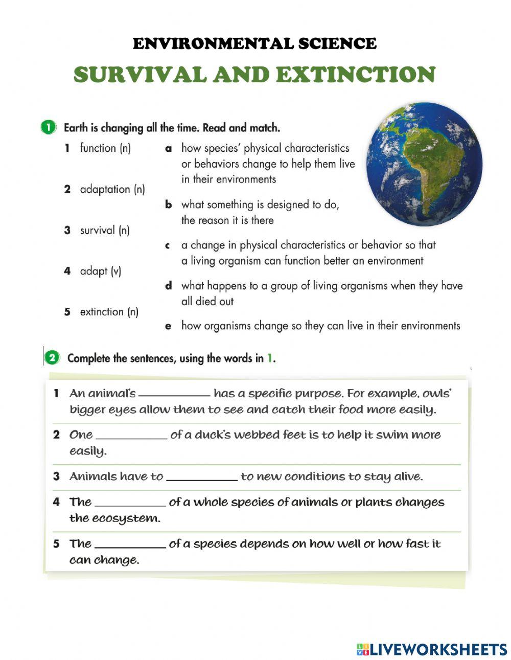 Survival and extinction