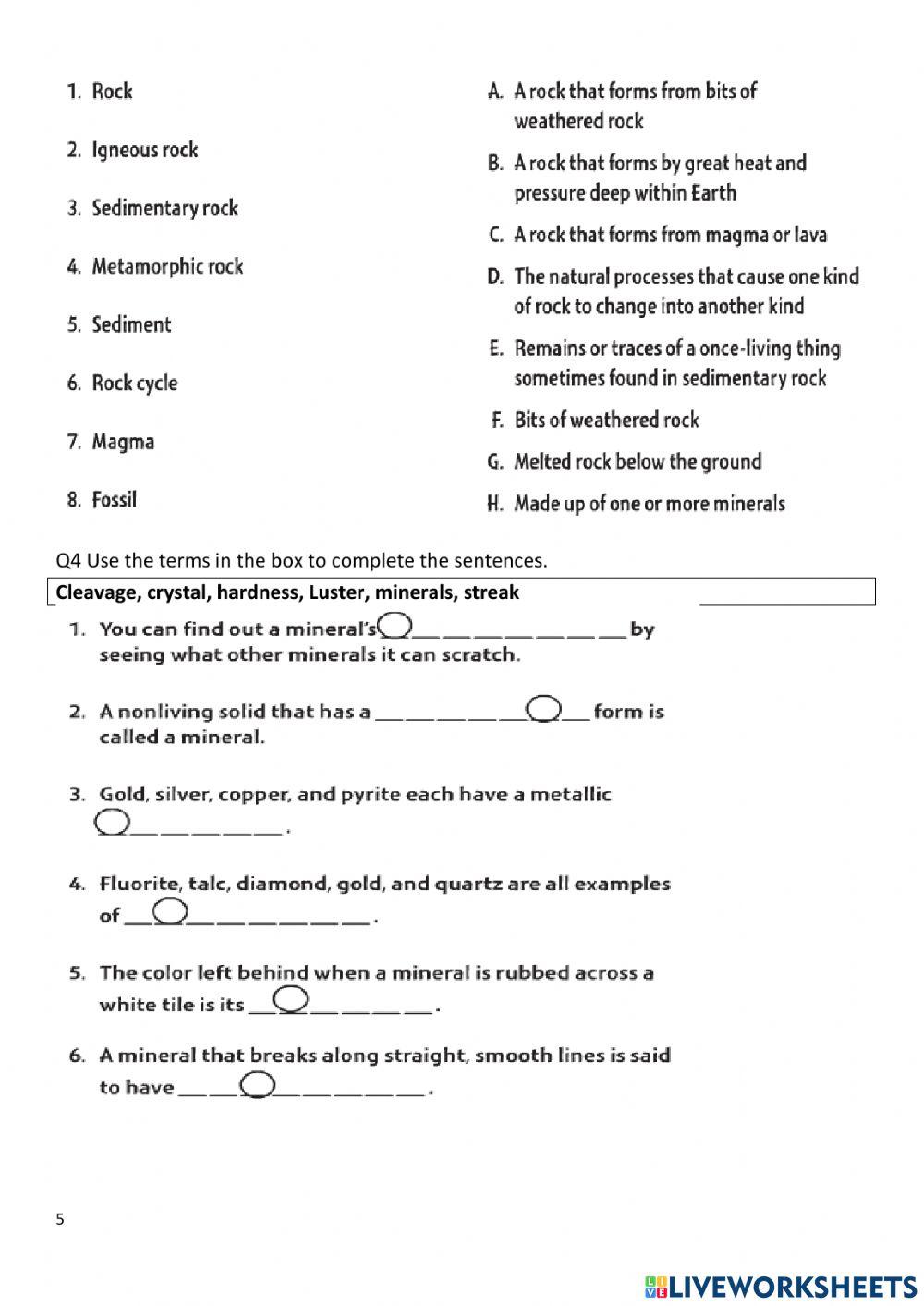 grade 5 online exercise for | Live Worksheets