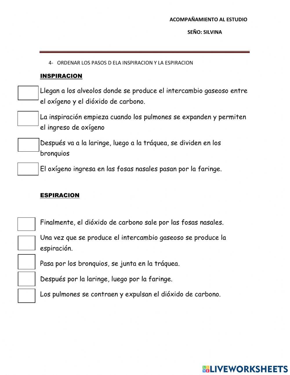 El sistema respiratorio